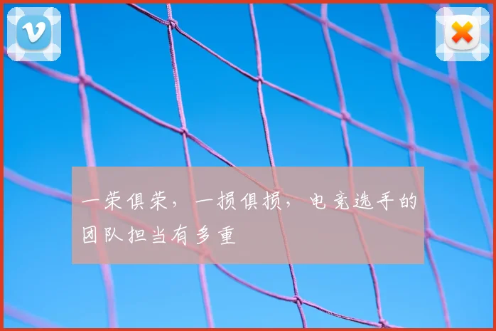 一荣俱荣，一损俱损，电竞选手的团队担当有多重
