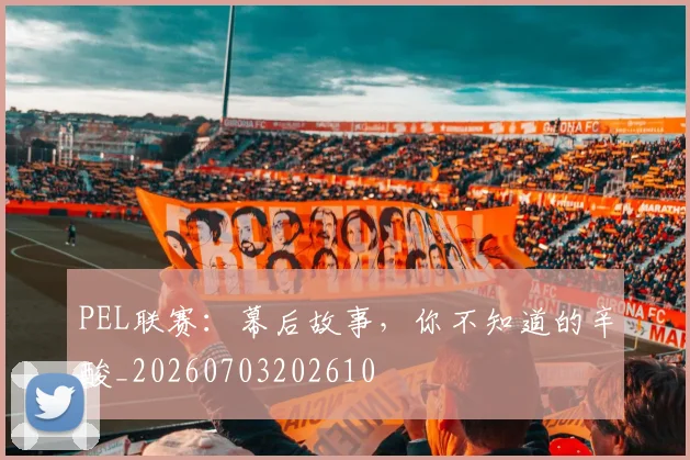 PEL联赛：幕后故事，你不知道的辛酸_20260703202610