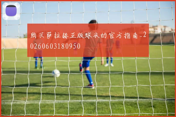 购买萨拉赫正版球衣的官方指南_20260603180950